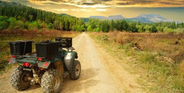 Image of a Taking Your ATV to Ocala National Forest? 5 ATV Insurance Tips to Consider