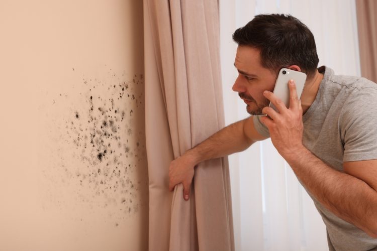 Middle aged hispanic man lifting up curtains looking at mold on wall while talking on phone.